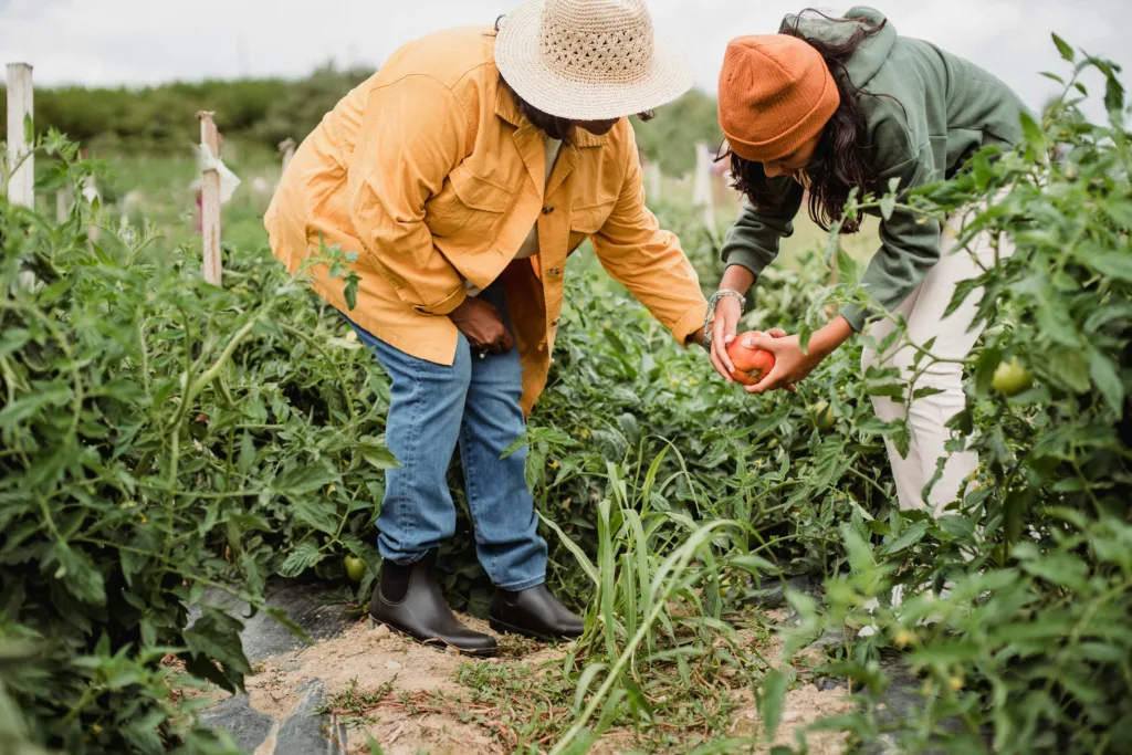 pexels-zen-chung-5529604-1024x683 The Top 10 Benefits of Adopting a Plant-Based Diet for better health